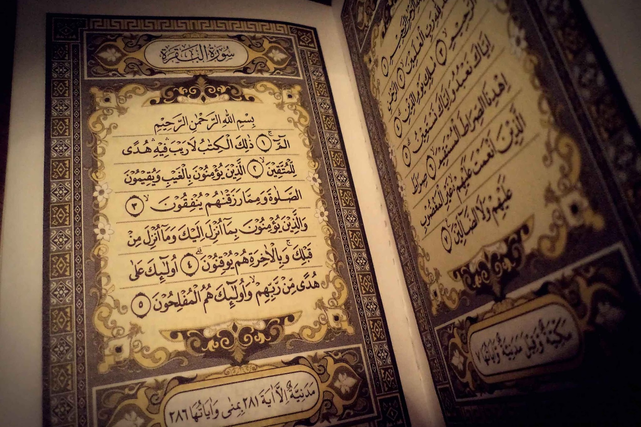 La Luce del Corano-Esegesi del Sacro Corano,vol 1 - Parte 69 - Sura Al-Bagharah - versetto 154