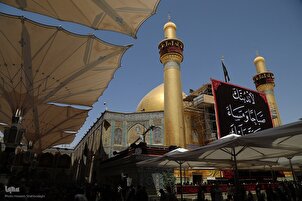 بالصور..عدسة وكالة 