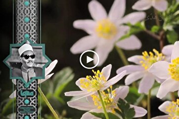 Heavenly Recitations: Abdulaziz Ali Faraj Recites Verse from Surah Baqarah