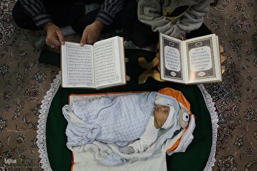 Photo Gallery: Quranic Session in Qom
