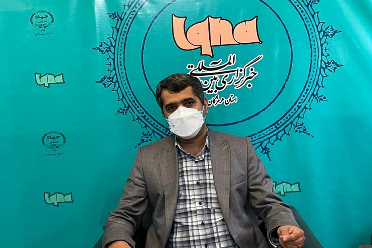 سعید عبدلی زاده رئیس حوزه هنری هرمزگان