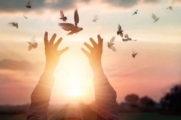 رهایی از قصاص