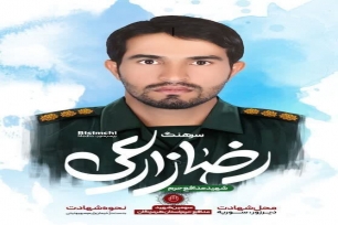 شهید رضا زارعی