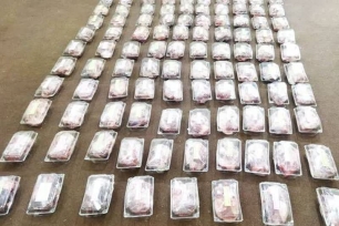 توزیع گوشت گرم توزیع گوشت گرم