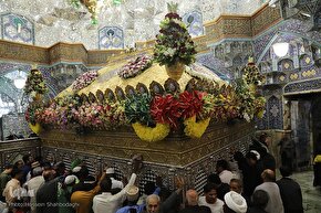 گل‌آرایی ضریح حضرت معصومه(س)