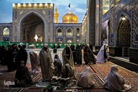 معتکفان در بارگاه امام رئوف