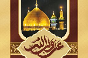 حدیث‌نگاشت | امیرالمؤمنین(ع)؛ صاحب حکمت