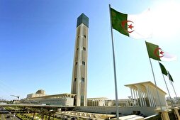 Mise en place de lignes régulières de bus vers la Grande Mosquée d’Alger