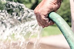 Les mosquées algériennes sensibilisent les fidèles à l'eau