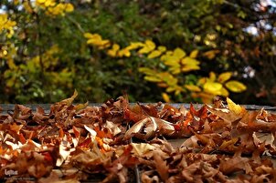 साद अबाद ऐतिहासिक परिसर में ख़िज़ां के हजारों रंगों का फ़्रेम