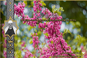 फ़िल्म | सूरह हश्र से "मुतवल्ली अब्द अल-आल" की श्रव्य तिलावत