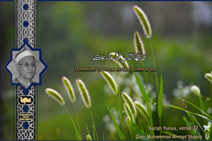 सूरह यूनुस से "अहमद शबीब" की तिलावत