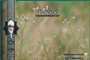 "खलील अल-होसरी" की आवाज के साथ सूरह अल-बकराह की तिलावत|फ़िल्म