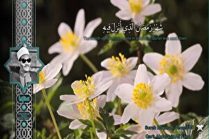 Lantunan Samawi: Abdul Aziz Ali Faraj Melantunkan Surah Al-Baqarah: 185