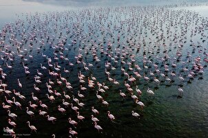Danau Maharloo, Objek Wisata Paling Menakjubkan di Provinsi Fars
