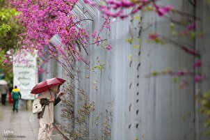 Hujan Musim Semi di Kota Teheran