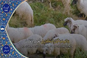 Film/ Lantunan Indah oleh Javad Foroughi