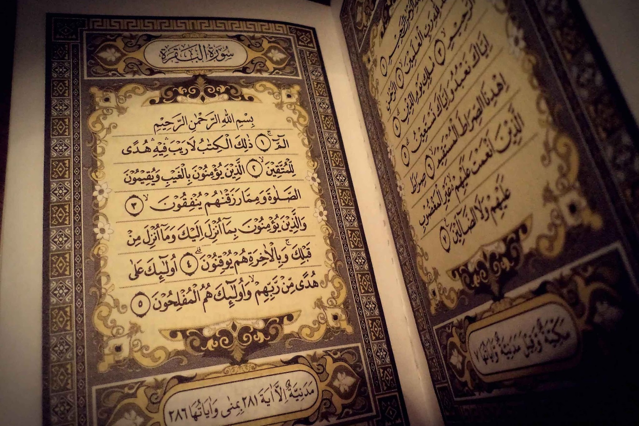 La Luce del Corano - Esegesi del Sacro Corano,vol 1 - Parte 147 - Sura Al-Bagharah - versetto 251