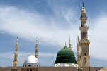 Проведение нескольких международных мероприятий в ознаменование...
