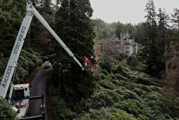 Dünyanın en büyük yılbaşı ağacı süslendi