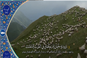 ویڈیو | یادگار تلاوت «جواد فروغی»